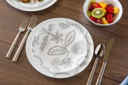 Corelle hotsell vive reminisce